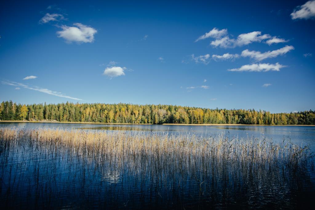 Sleepwell Villa Hartola By The Lake Kirkkola Экстерьер фото